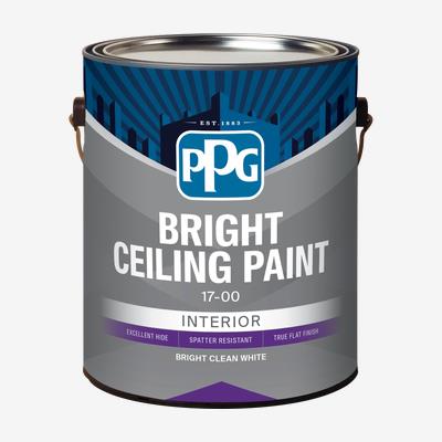 CEILING PAINT Interior Latex